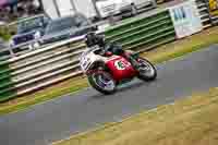 Vintage-motorcycle-club;eventdigitalimages;mallory-park;mallory-park-trackday-photographs;no-limits-trackdays;peter-wileman-photography;trackday-digital-images;trackday-photos;vmcc-festival-1000-bikes-photographs